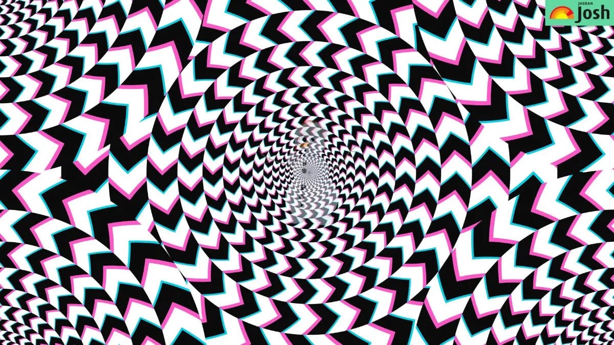 Dėlionė geram regėjimui: per 5 sekundes turite rasti paslėptą vaizdą