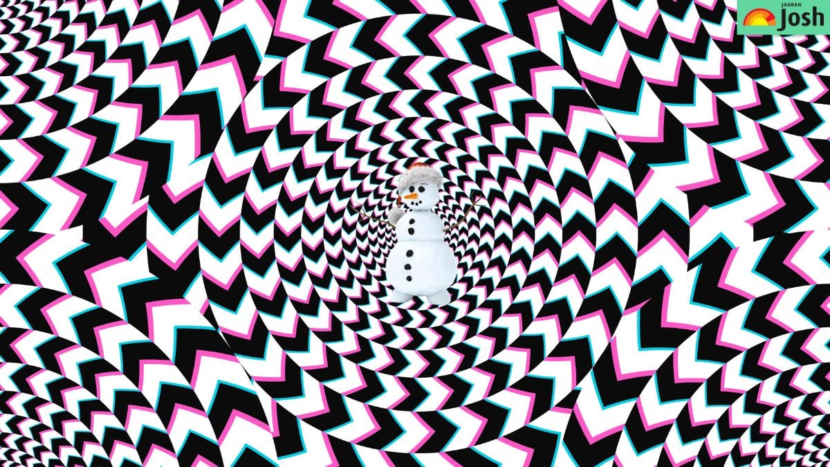 Dėlionė geram regėjimui: per 5 sekundes turite rasti paslėptą vaizdą