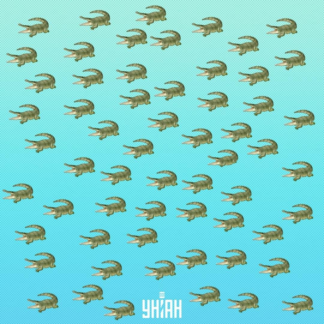 Roplys pasislėpė, bet jį reikia pamatyti per 15 sekundžių / Moje koliažas