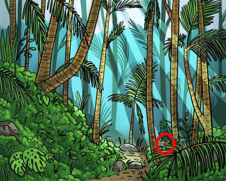 Optinė apgaulė unikaliems žmonėms: tigrą miške reikia rasti per 9 sekundes