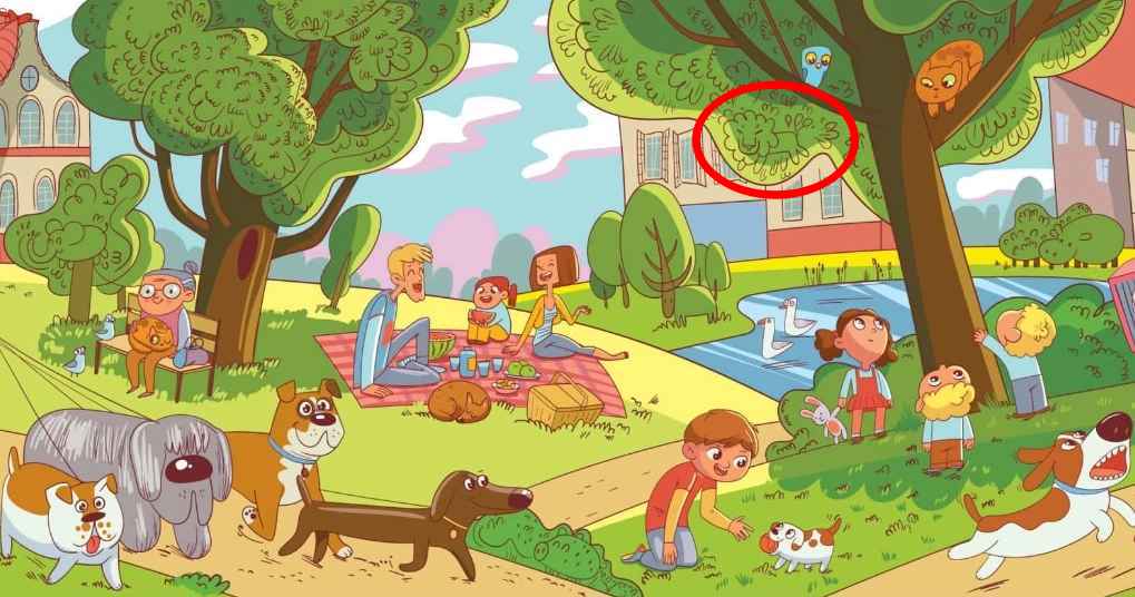 Šią užduotį gali atlikti tik keli žmonės: liūtą parke reikia rasti per 6 sekundes