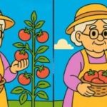 IQ testas: raskite 3 skirtumus nuotraukose su sena ponia per