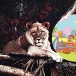 Šią užduotį gali atlikti tik keli žmonės: liūtą parke reikia rasti per 6 sekundes Šią užduotį gali atlikti tik keli žmonės: liūtą parke reikia