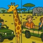 Super IQ testas: raskite 3 skirtumus turistų paveikslėlyje per 41